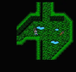 Snapshot